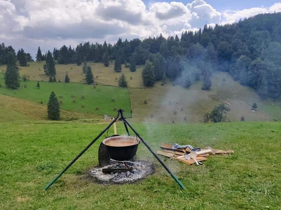 Pensiunea Poarta Lui Ionele Garda de Sus Bagian luar foto