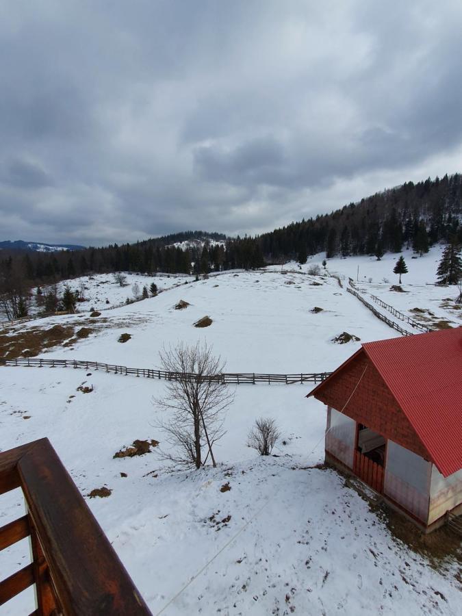 Pensiunea Poarta Lui Ionele Garda de Sus Bagian luar foto