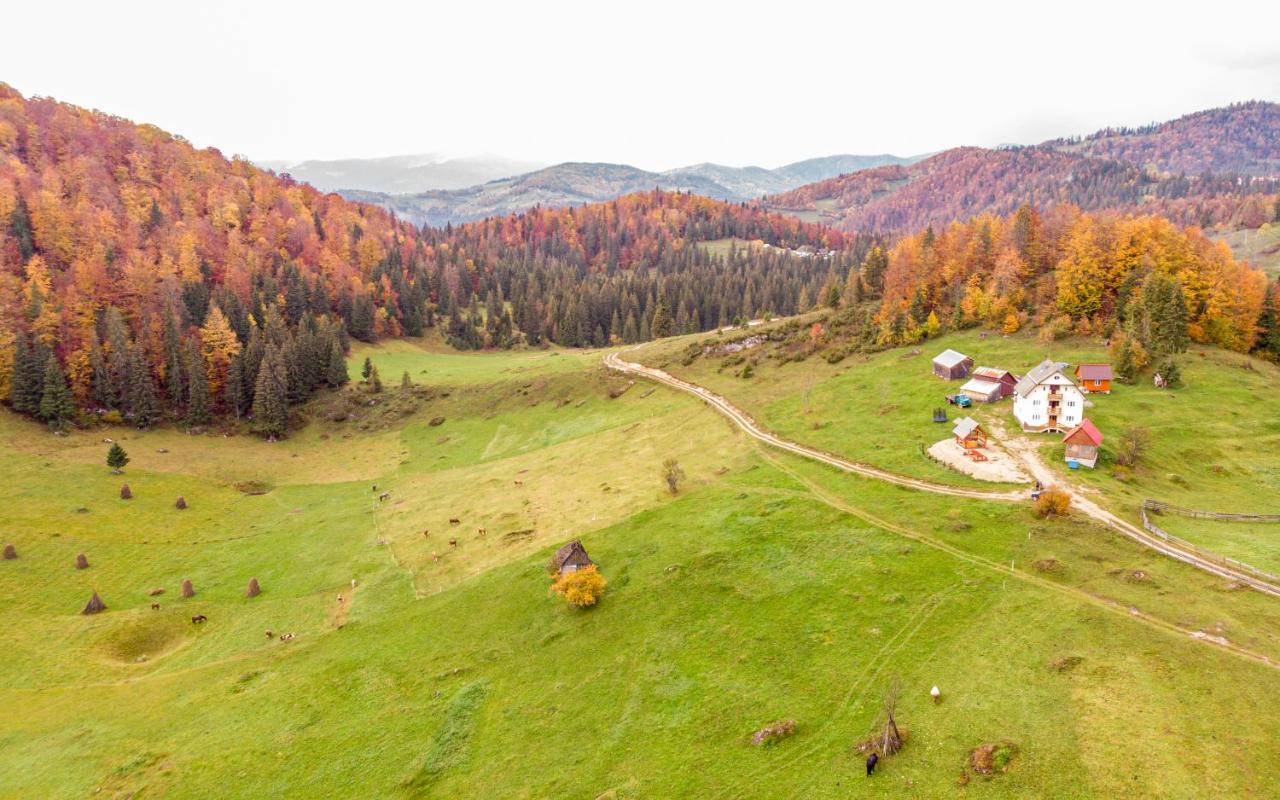 Pensiunea Poarta Lui Ionele Garda de Sus Bagian luar foto