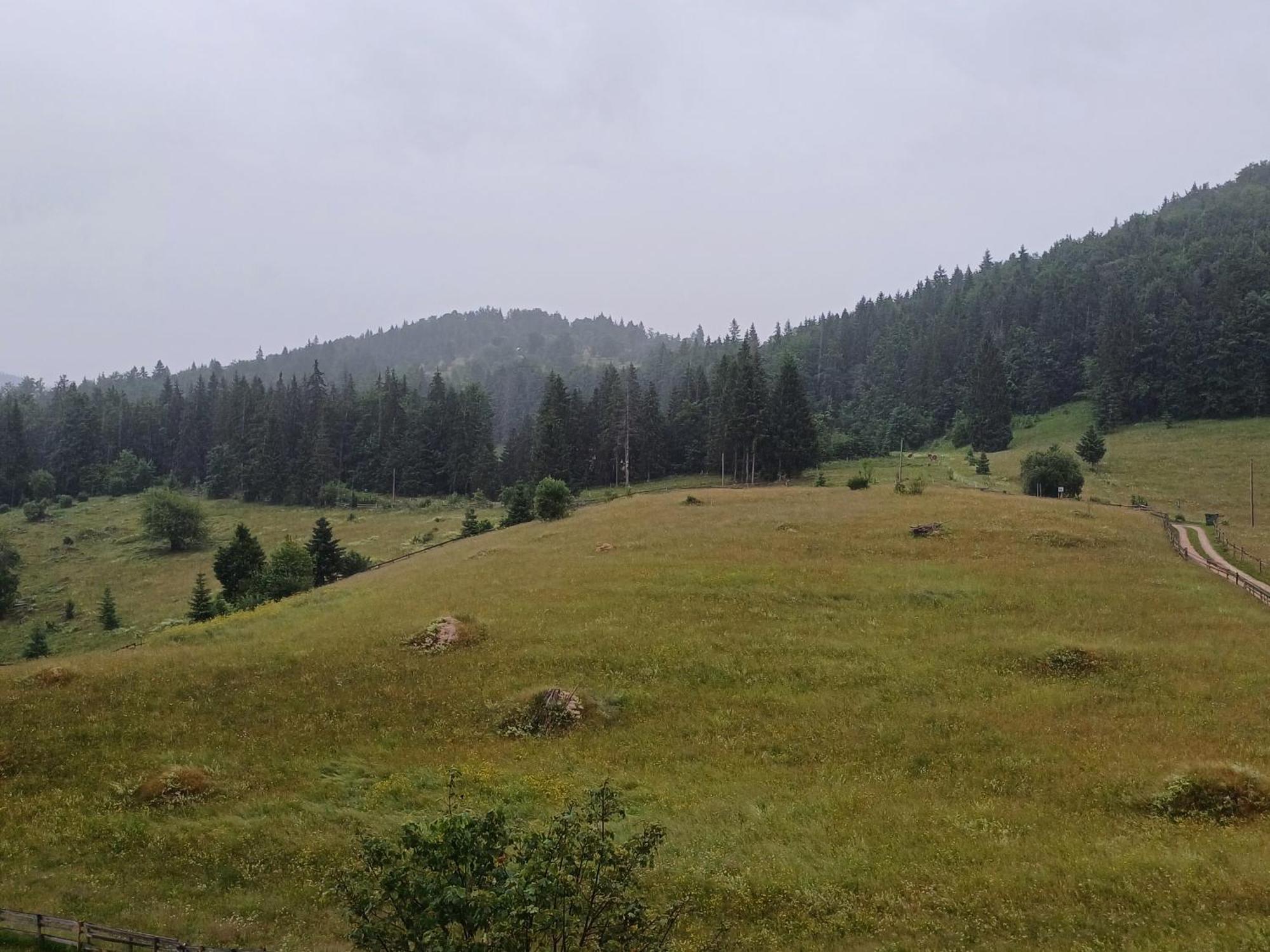 Pensiunea Poarta Lui Ionele Garda de Sus Bagian luar foto