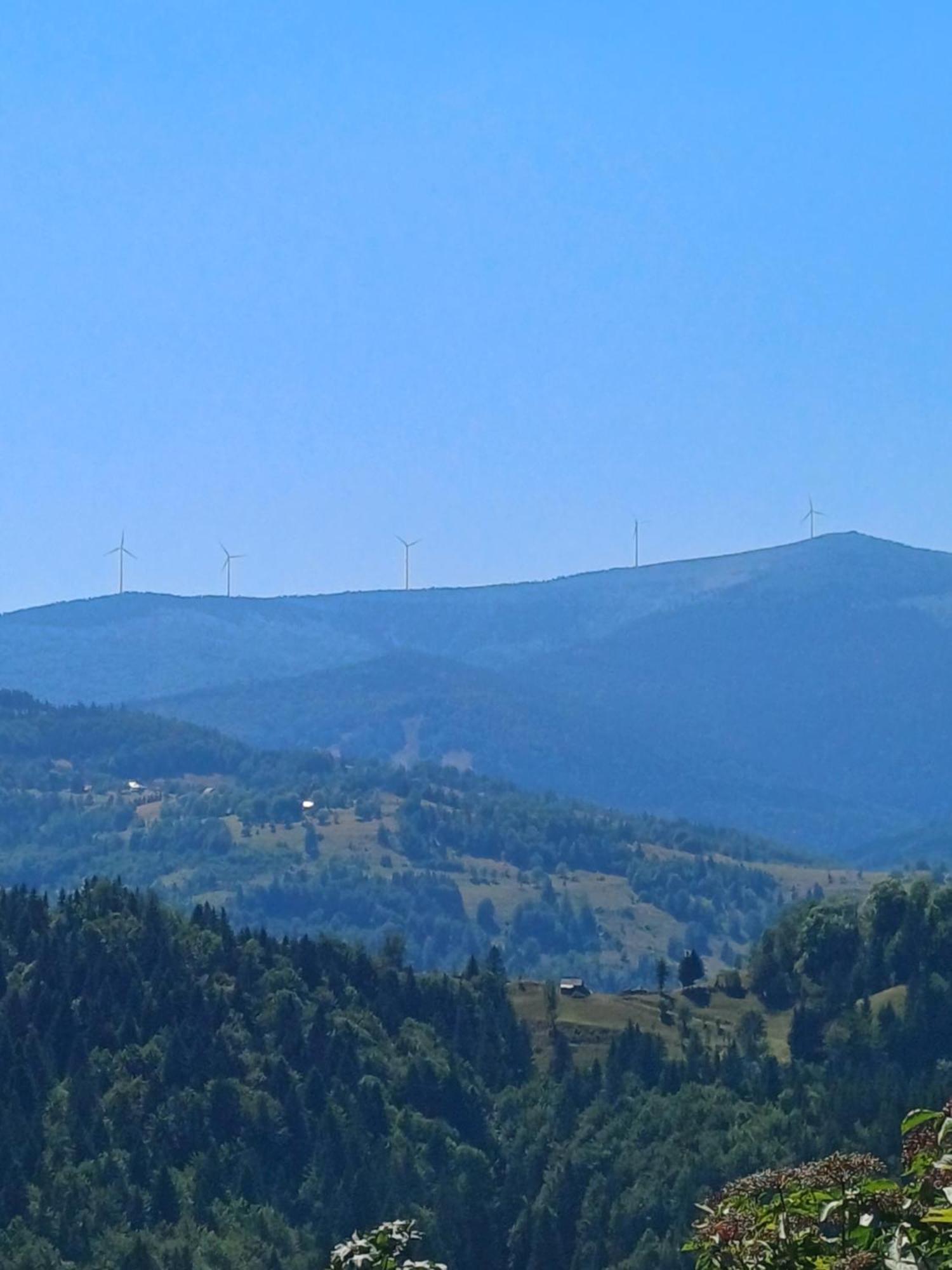 Pensiunea Poarta Lui Ionele Garda de Sus Bagian luar foto