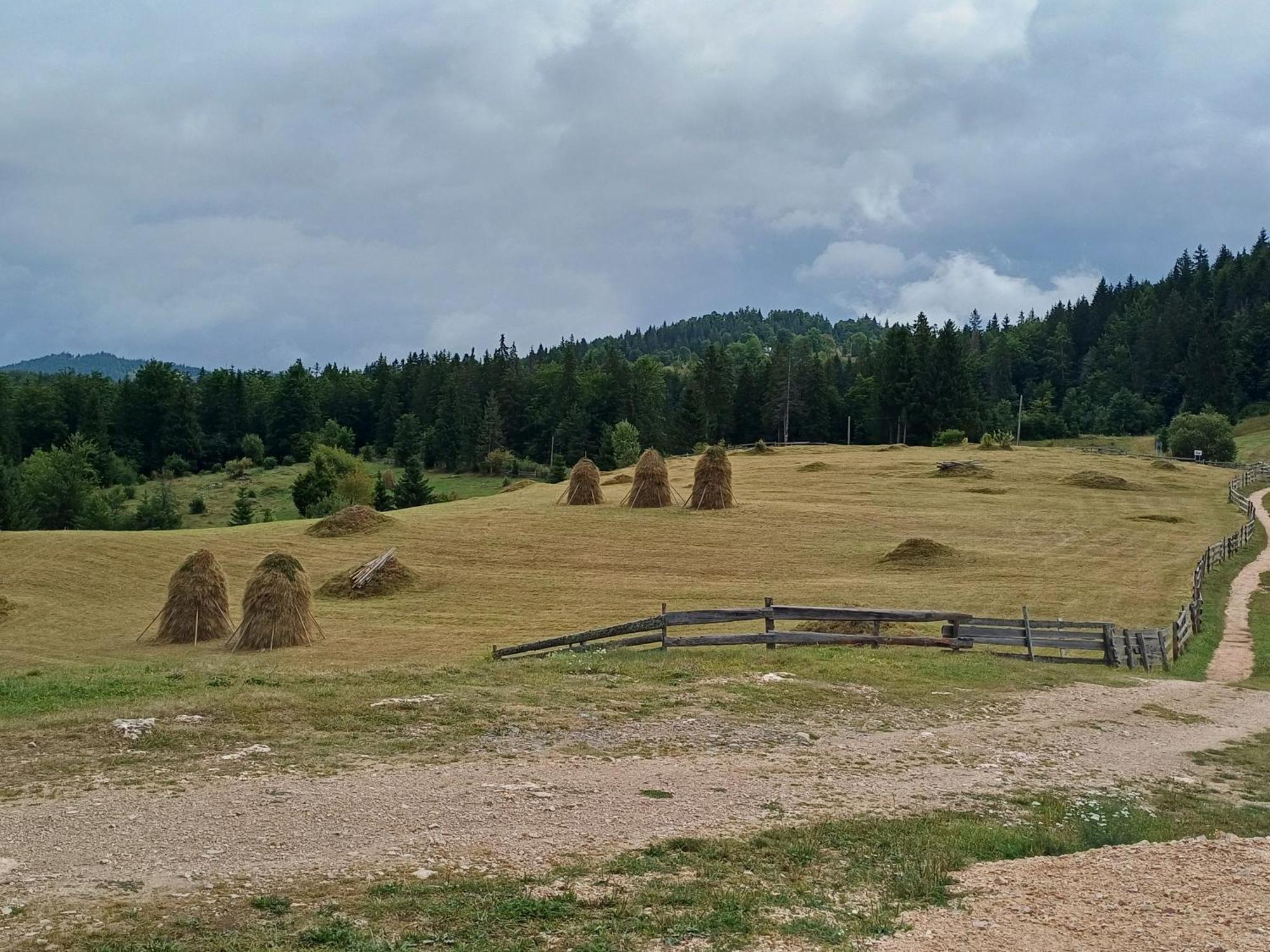 Pensiunea Poarta Lui Ionele Garda de Sus Bagian luar foto