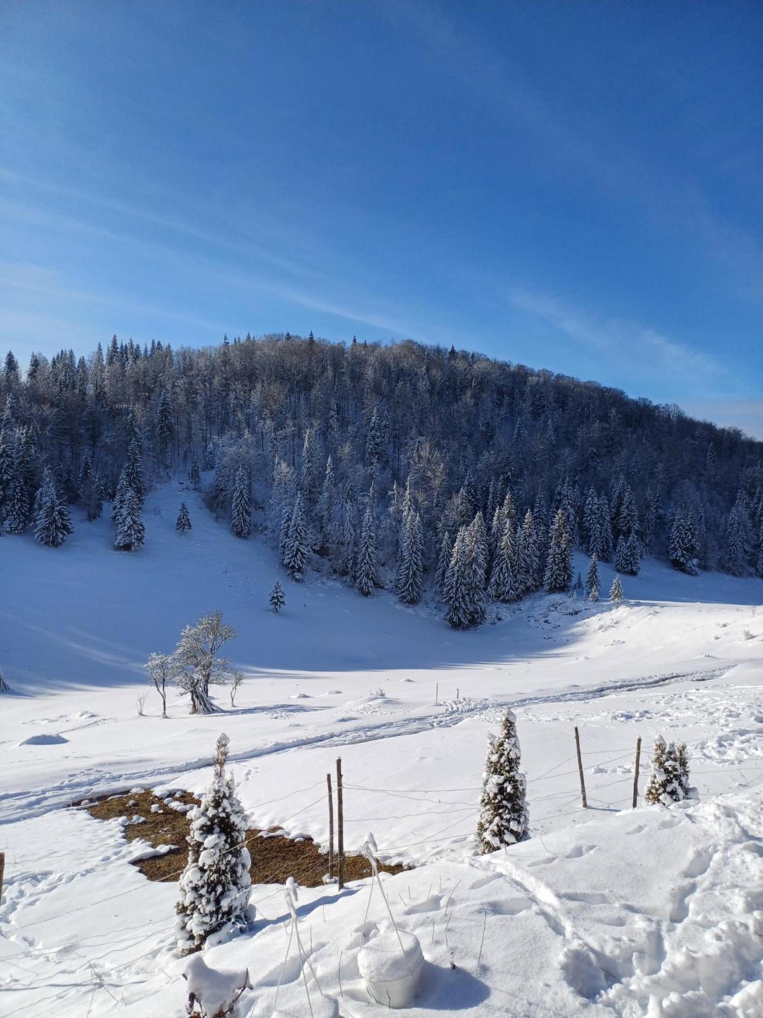 Pensiunea Poarta Lui Ionele Garda de Sus Bagian luar foto